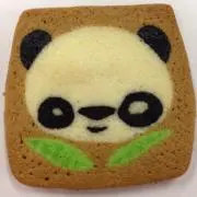 たつきの画像
