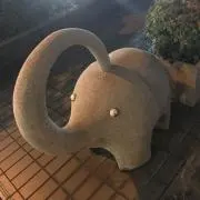 あんどーの画像