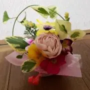 こん。の画像