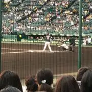 ホークスの画像