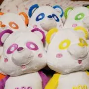 いっちーの画像