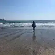 Nの画像
