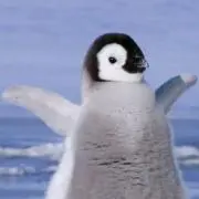 tennの画像