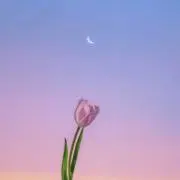 ❀︎Hana❀︎の画像