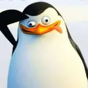 cocoの画像