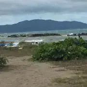 DNMの画像