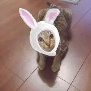 あい
