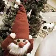 つっつの画像