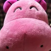 もちみ
