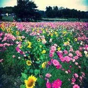なな プロフィール必読☆の画像