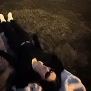Ｙの画像
