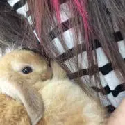 きいちご