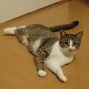 みつの画像