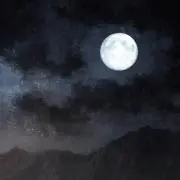 ヨルツキの画像