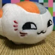 ゆみ