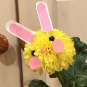 なつの画像