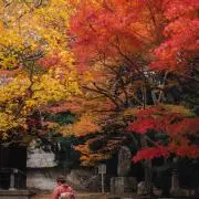 cocoの画像