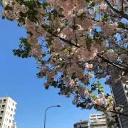 運搬取付無料！シャンパン純正日立まんなか野菜室でラクラク出し入れ