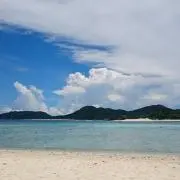 マルの画像