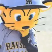 HTの画像