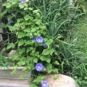 すぺるマン