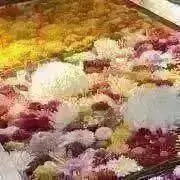 シュガリの画像