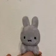 ここの画像