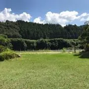 ラムさんの画像