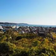 モリス