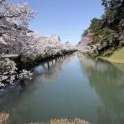 ぺんぺん
