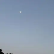 たろの画像