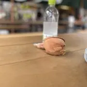 みの画像