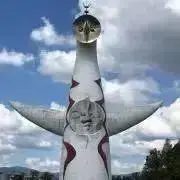 うり坊の画像