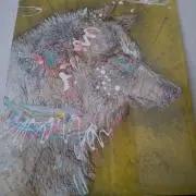 ビカクシダの画像