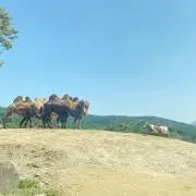 115 soutaの画像