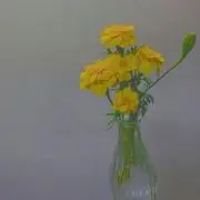 ほのかの画像