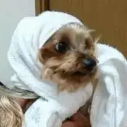 akの画像