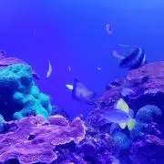 ☆断捨離中!!