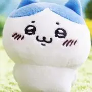 27の画像