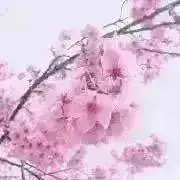 だいな@発送6/27夜.30昼.7/2夜の画像