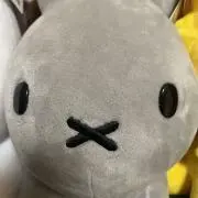 SuperStunnerの画像