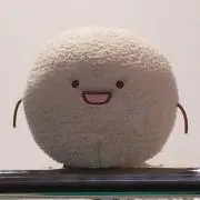 ころりんの画像