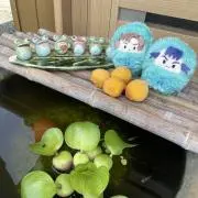 zenの画像