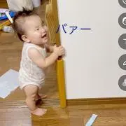 Daiharuの画像