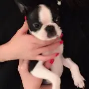 あーちの画像