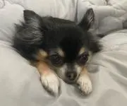 ミカン箱の画像