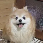 みるの画像