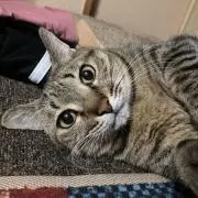 3104♡プロフ必読