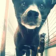 Qtacoの画像