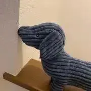 Rikuの画像